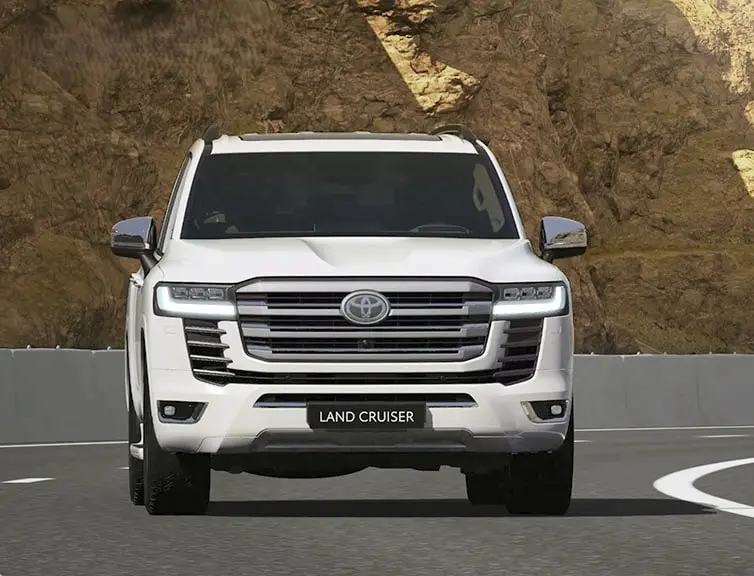 Happy customer with car